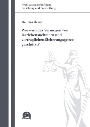 Buchcover Wie wird das Vermögen von Darlehensnehmern und vertraglichen Sicherungsgebern geschützt? | Matthias Meindl | EAN 9783831686117 | ISBN 3-8316-8611-4 | ISBN 978-3-8316-8611-7