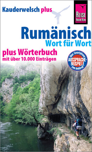 Buchcover Rumänisch - Wort für Wort plus Wörterbuch | Jürgen Salzer | EAN 9783831749911 | ISBN 3-8317-4991-4 | ISBN 978-3-8317-4991-1