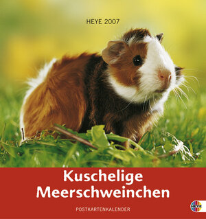 Kuschelige Meerschweinchen 2007. Postkartenkalender. Postkartenkalender mit Aufsteller