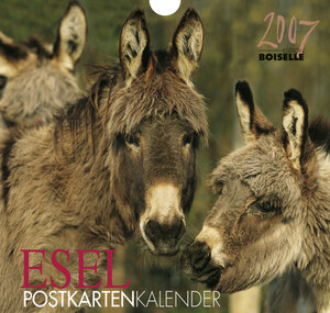 Esel 2007. Postkartenkalender. Mit Aufsteller und Weihnachtskarte