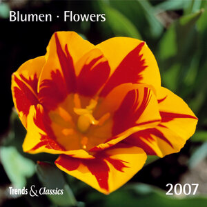 Blumen 2007 Trends und Classics Kalender.