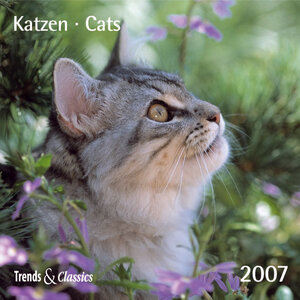 Katzen 2007. Trends & Classics Kalender.