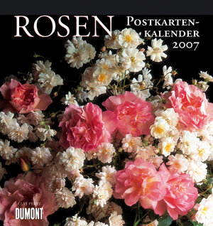 Rosen 2007. Postkartenkalender.