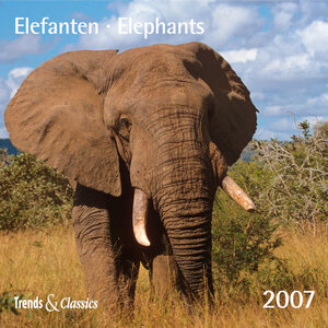 Elefanten 2007. Trends & Classics Kalender.