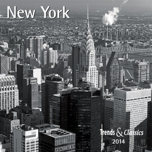 Buchcover New York - T & C-Kalender 2014  | EAN 9783832024987 | ISBN 3-8320-2498-0 | ISBN 978-3-8320-2498-7