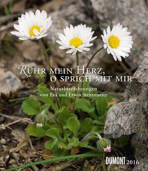 Buchcover Rühr mein Herz, o sprich mit mir 2016 | Erwin Strittmatter | EAN 9783832033071 | ISBN 3-8320-3307-6 | ISBN 978-3-8320-3307-1
