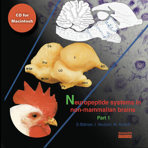 Buchcover Neuropeptide systems in non-mammalian brains | S. Blähser | EAN 9783832296483 | ISBN 3-8322-9648-4 | ISBN 978-3-8322-9648-3
