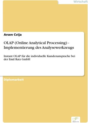 OLAP (Online Analytical Processing) - Implementierung des Analysewerkzeugs - Instant OLAP für die individuelle Kundenansprache bei der Emil Ratz GmbH