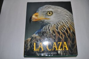 Buchcover Die Jagd  | EAN 9783833112638 | ISBN 3-8331-1263-8 | ISBN 978-3-8331-1263-8