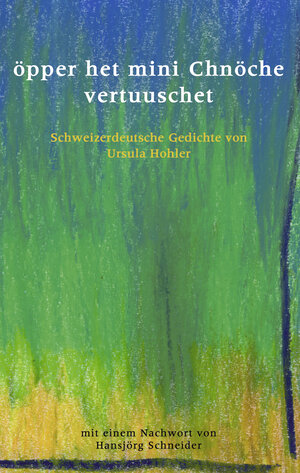 Buchcover öpper het mini Chnöche vertuuschet | Ursula Hohler | EAN 9783833418587 | ISBN 3-8334-1858-3 | ISBN 978-3-8334-1858-7