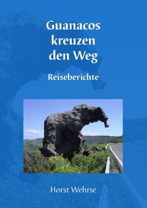 Guanacos kreuzen den Weg: Reiseberichte