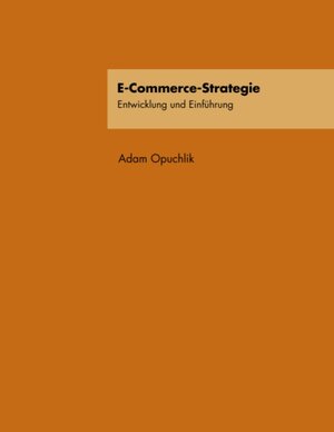 E-Commerce-Strategie: Entwicklung und Einführung