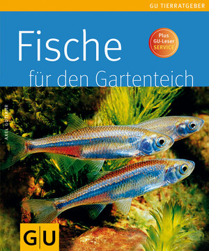Buchcover Fische für den Gartenteich | Axel Gutjahr | EAN 9783833812064 | ISBN 3-8338-1206-0 | ISBN 978-3-8338-1206-4