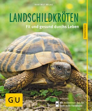 Buchcover Landschildkröten | Hartmut Wilke | EAN 9783833846670 | ISBN 3-8338-4667-4 | ISBN 978-3-8338-4667-0