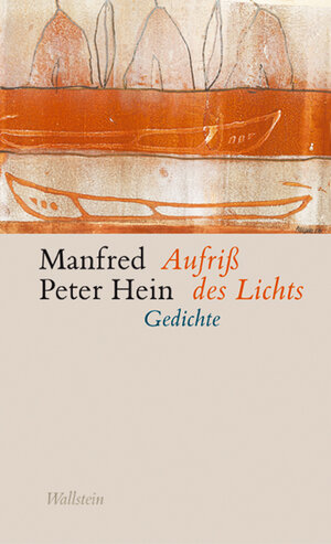 Buchcover Aufriß des Lichts | Manfred Peter Hein | EAN 9783835306653 | ISBN 3-8353-0665-0 | ISBN 978-3-8353-0665-3