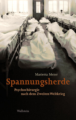 Buchcover Spannungsherde | Marietta Meier | EAN 9783835317338 | ISBN 3-8353-1733-4 | ISBN 978-3-8353-1733-8