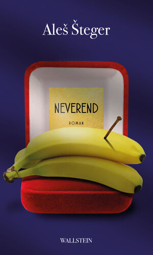 Buchcover Neverend | Ales Steger | EAN 9783835348011 | ISBN 3-8353-4801-9 | ISBN 978-3-8353-4801-1