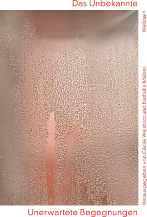 Buchcover Das Unbekannte | EAN 9783835388918 | ISBN 3-8353-8891-6 | ISBN 978-3-8353-8891-8