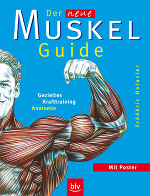 Der neue Muskel-Guide: Gezieltes Krafttraining - Anatomie