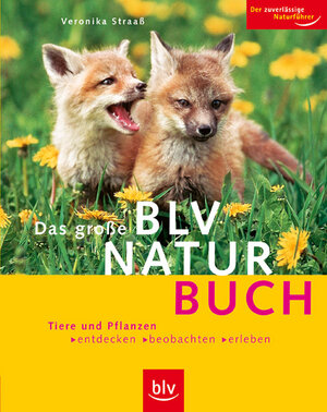 Das große BLV Naturbuch: Tiere und Pflanzen entdecken, beobachen, erleben