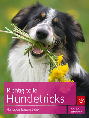 Buchcover Richtig tolle Hundetricks | Angela Wegmann | EAN 9783835405400 | ISBN 3-8354-0540-3 | ISBN 978-3-8354-0540-0