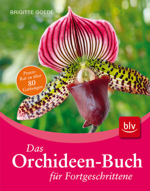 Buchcover Das Orchideen-Buch für Fortgeschrittene | Brigitte Goede | EAN 9783835406254 | ISBN 3-8354-0625-6 | ISBN 978-3-8354-0625-4