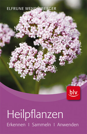 Buchcover Heilpflanzen | Elfrune Wendelberger | EAN 9783835406971 | ISBN 3-8354-0697-3 | ISBN 978-3-8354-0697-1