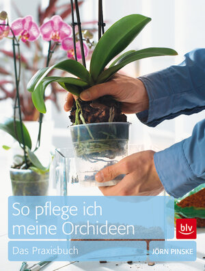 Buchcover So pflege ich meine Orchideen | Jörn Pinske | EAN 9783835408142 | ISBN 3-8354-0814-3 | ISBN 978-3-8354-0814-2