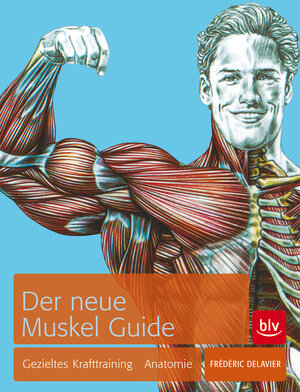 Buchcover Der neue Muskel Guide | Frédéric Delavier | EAN 9783835408654 | ISBN 3-8354-0865-8 | ISBN 978-3-8354-0865-4