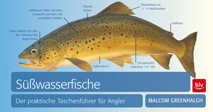 Buchcover Süßwasserfische | Malcom Greenhalgh | EAN 9783835408913 | ISBN 3-8354-0891-7 | ISBN 978-3-8354-0891-3