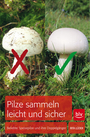 Buchcover Pilze sammeln leicht und sicher | Rita Lüder | EAN 9783835409187 | ISBN 3-8354-0918-2 | ISBN 978-3-8354-0918-7