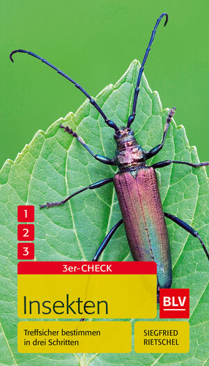 Buchcover Insekten | Siegfried Rietschel | EAN 9783835409439 | ISBN 3-8354-0943-3 | ISBN 978-3-8354-0943-9