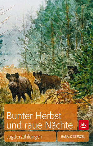 Buchcover Bunter Herbst und raue Nächte | Harald Stenzel | EAN 9783835410503 | ISBN 3-8354-1050-4 | ISBN 978-3-8354-1050-3