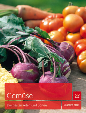 Buchcover Gemüse | Siegfried Stein | EAN 9783835410800 | ISBN 3-8354-1080-6 | ISBN 978-3-8354-1080-0