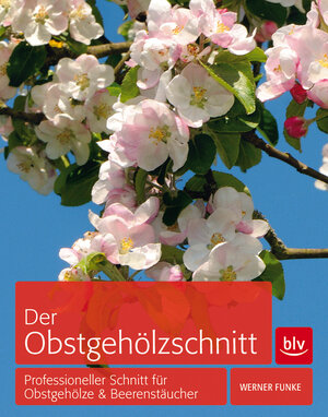 Buchcover Der Obstgehölzschnitt | Werner Funke | EAN 9783835413511 | ISBN 3-8354-1351-1 | ISBN 978-3-8354-1351-1