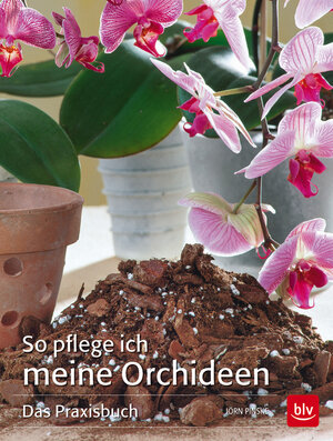 Buchcover So pflege ich meine Orchideen | Jörn Pinske | EAN 9783835414389 | ISBN 3-8354-1438-0 | ISBN 978-3-8354-1438-9