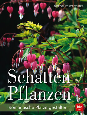 Buchcover Schattenpflanzen | Dorothée Waechter | EAN 9783835416949 | ISBN 3-8354-1694-4 | ISBN 978-3-8354-1694-9