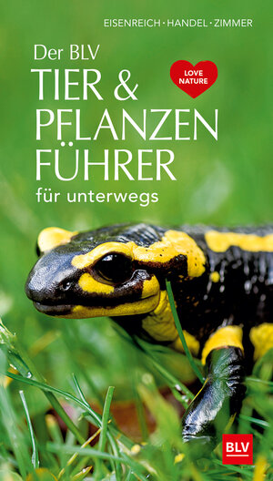 Buchcover Der BLV Tier & Pflanzenführer | Ute E. Zimmer | EAN 9783835418080 | ISBN 3-8354-1808-4 | ISBN 978-3-8354-1808-0