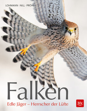 Buchcover Falken | Michael Lohmann | EAN 9783835418776 | ISBN 3-8354-1877-7 | ISBN 978-3-8354-1877-6