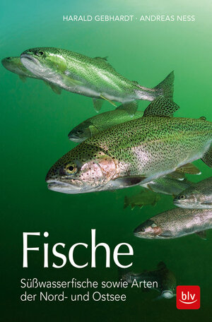 Buchcover Fische | Harald Gebhardt | EAN 9783835418912 | ISBN 3-8354-1891-2 | ISBN 978-3-8354-1891-2