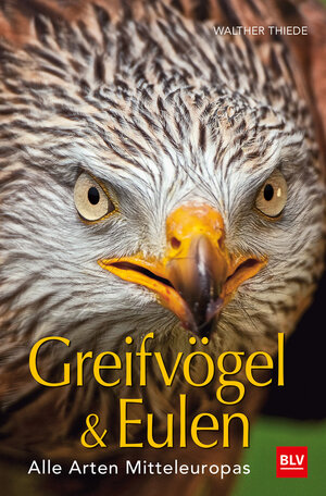 Buchcover BLV Greifvögel & Eulen | Walther Thiede | EAN 9783835418981 | ISBN 3-8354-1898-X | ISBN 978-3-8354-1898-1