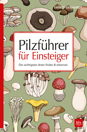 Buchcover Pilzführer für Einsteiger | Ewald Gerhardt | EAN 9783835462564 | ISBN 3-8354-6256-3 | ISBN 978-3-8354-6256-4