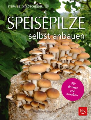 Buchcover Speisepilze selbst anbauen | Stefanie Goldscheider | EAN 9783835462687 | ISBN 3-8354-6268-7 | ISBN 978-3-8354-6268-7