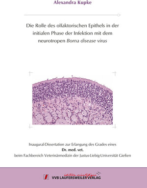 Buchcover Die Rolle des olfaktorischen Epithels in der initialen Phase der Infektion mit dem neurotropen Borna disease virus | Alexandra Kupke | EAN 9783835964440 | ISBN 3-8359-6444-5 | ISBN 978-3-8359-6444-0