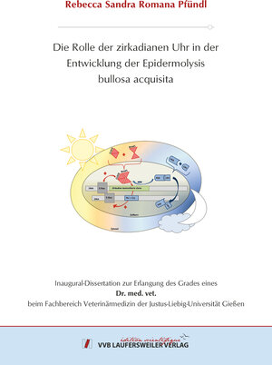 Buchcover Die Rolle der zirkadianen Uhr in der Entwicklung der Epidermolysis bullosa acquisita | Rebecca Pfündl | EAN 9783835969179 | ISBN 3-8359-6917-X | ISBN 978-3-8359-6917-9