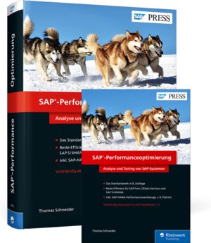 Buchcover SAP-Performanceoptimierung | Thomas Schneider | EAN 9783836254946 | ISBN 3-8362-5494-8 | ISBN 978-3-8362-5494-6
