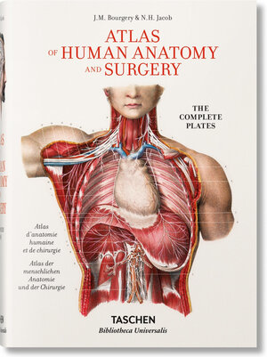 Buchcover Bourgery. Atlas of Human Anatomy and Surgery | Henri Sick | EAN 9783836556620 | ISBN 3-8365-5662-6 | ISBN 978-3-8365-5662-0
