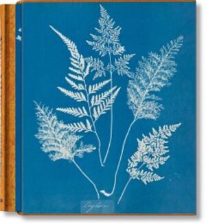 Buchcover Anna Atkins. Cyanotypes | Peter Walther | EAN 9783836596039 | ISBN 3-8365-9603-2 | ISBN 978-3-8365-9603-9