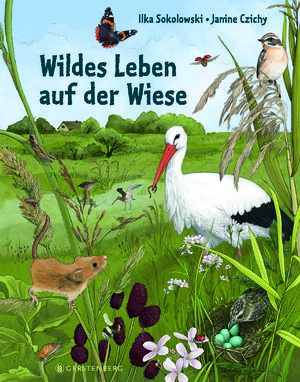Buchcover Wildes Leben auf der Wiese | Ilka Sokolowski | EAN 9783836961257 | ISBN 3-8369-6125-3 | ISBN 978-3-8369-6125-7