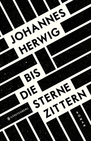Buchcover Bis die Sterne zittern | Johannes Herwig | EAN 9783836992114 | ISBN 3-8369-9211-6 | ISBN 978-3-8369-9211-4